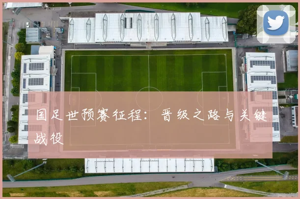 国足世预赛征程：晋级之路与关键战役